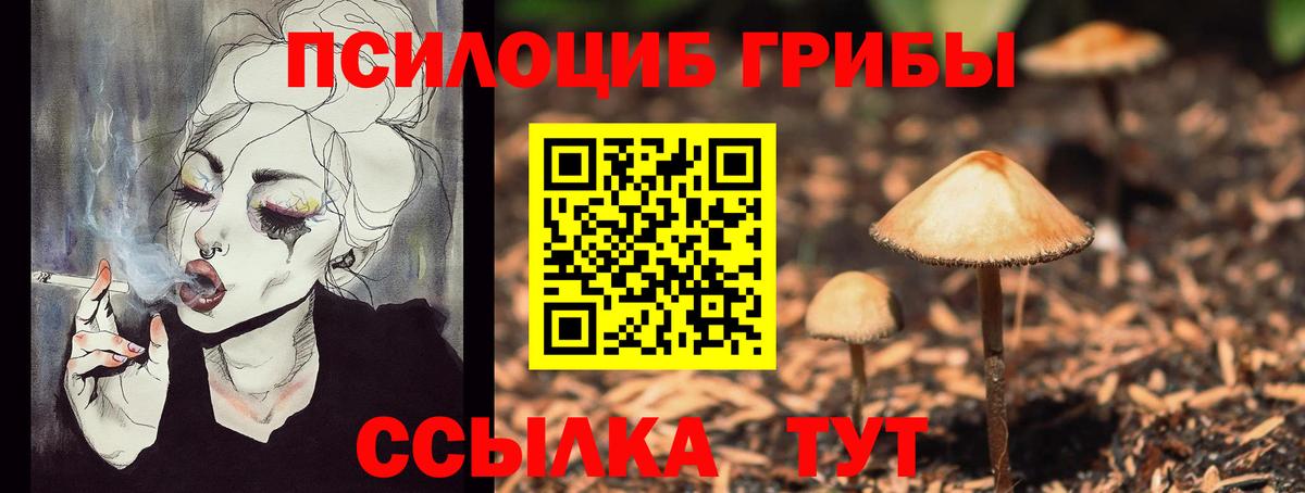 Полевской  Галлюциногенные грибы прущие грибы  Вход с VPN  Галлюциногенные грибы Psilocybine cubensis 